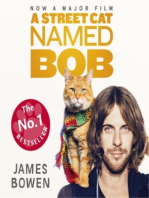 cover image of A Streetcat Named Bob